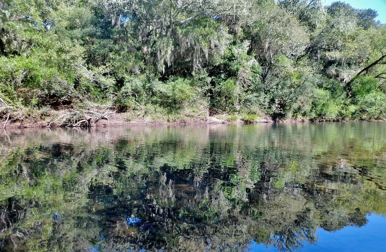 Arroyo Lunarejo con aguas claras.