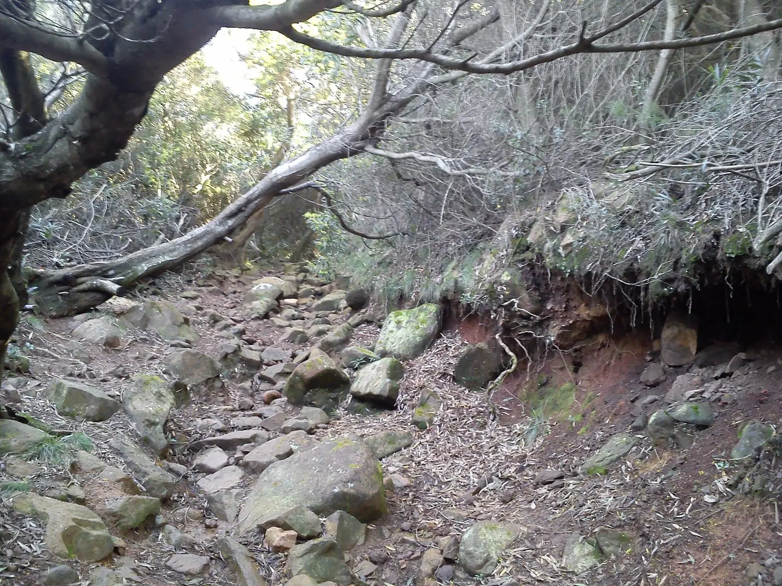 Sendero de ascenso a la cima.