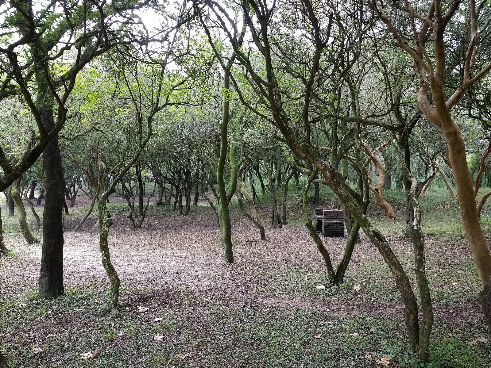 Predio del Camping 33 Orientales.