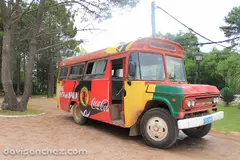 Sector arbolado del camping.
