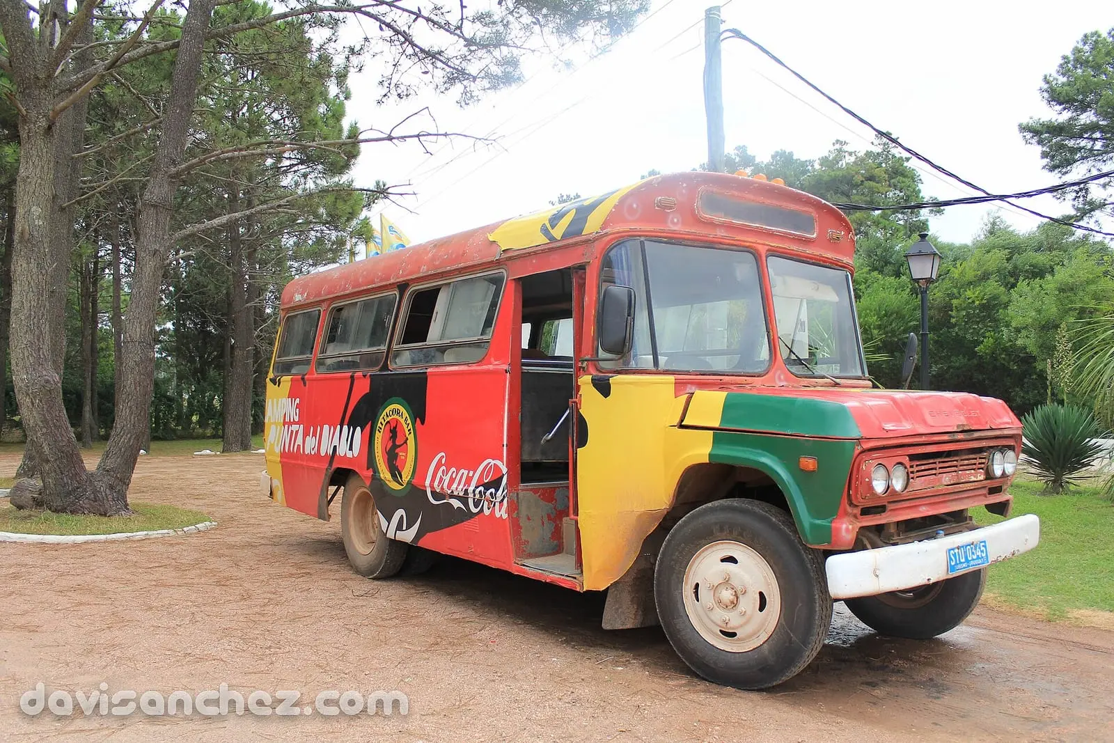 Sector arbolado del camping.