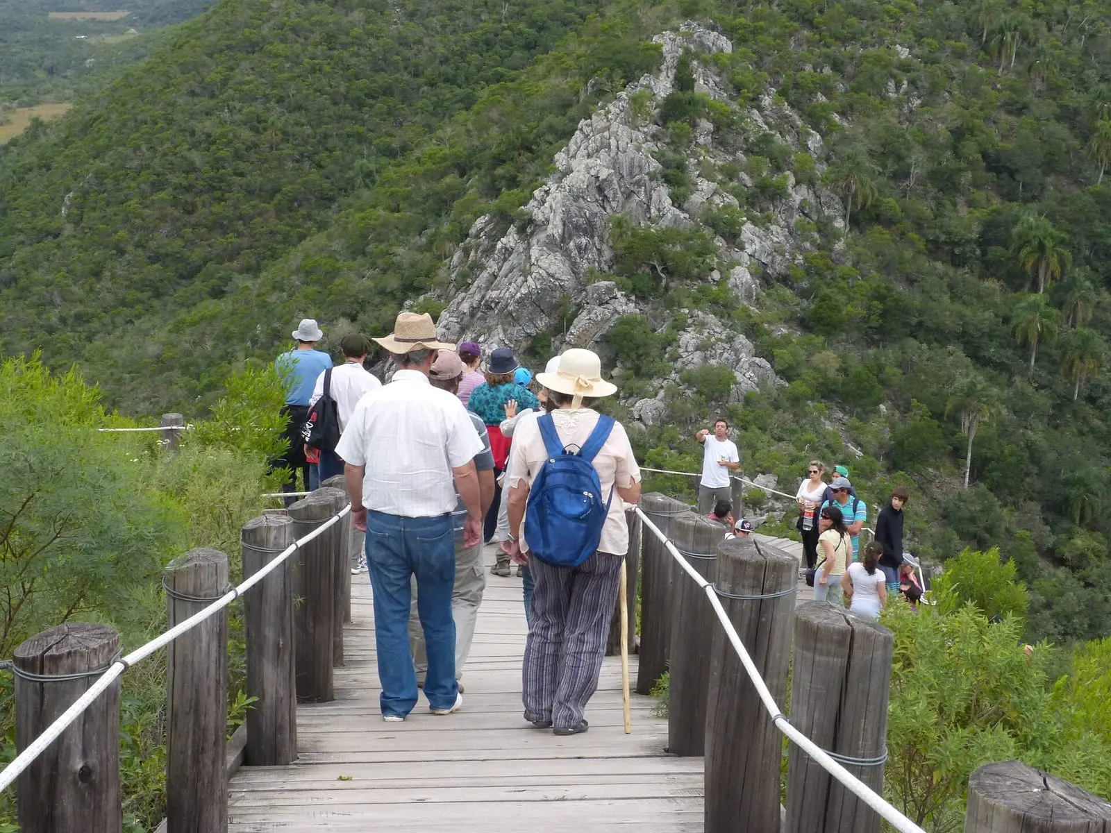 Pasarela de madera en un sendero del parque.