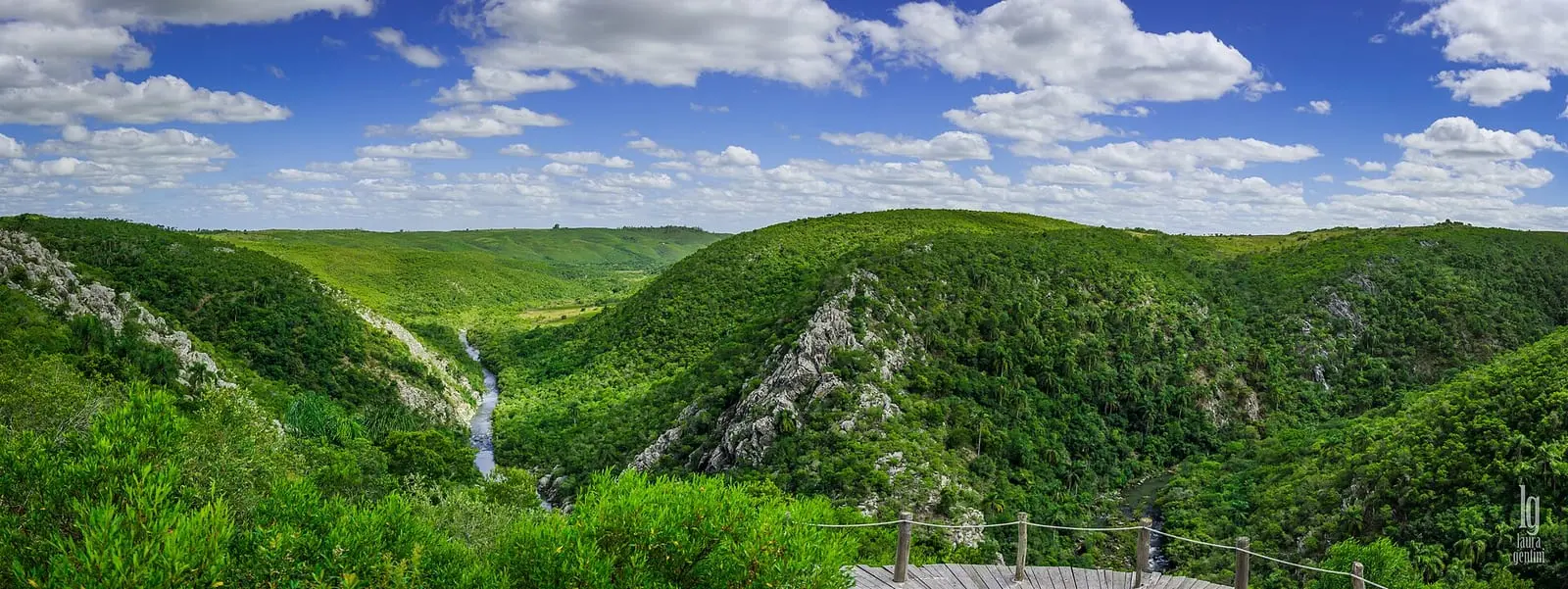 Panorámica de la garganta del arroyo Yerbal Chico con monte nativo.